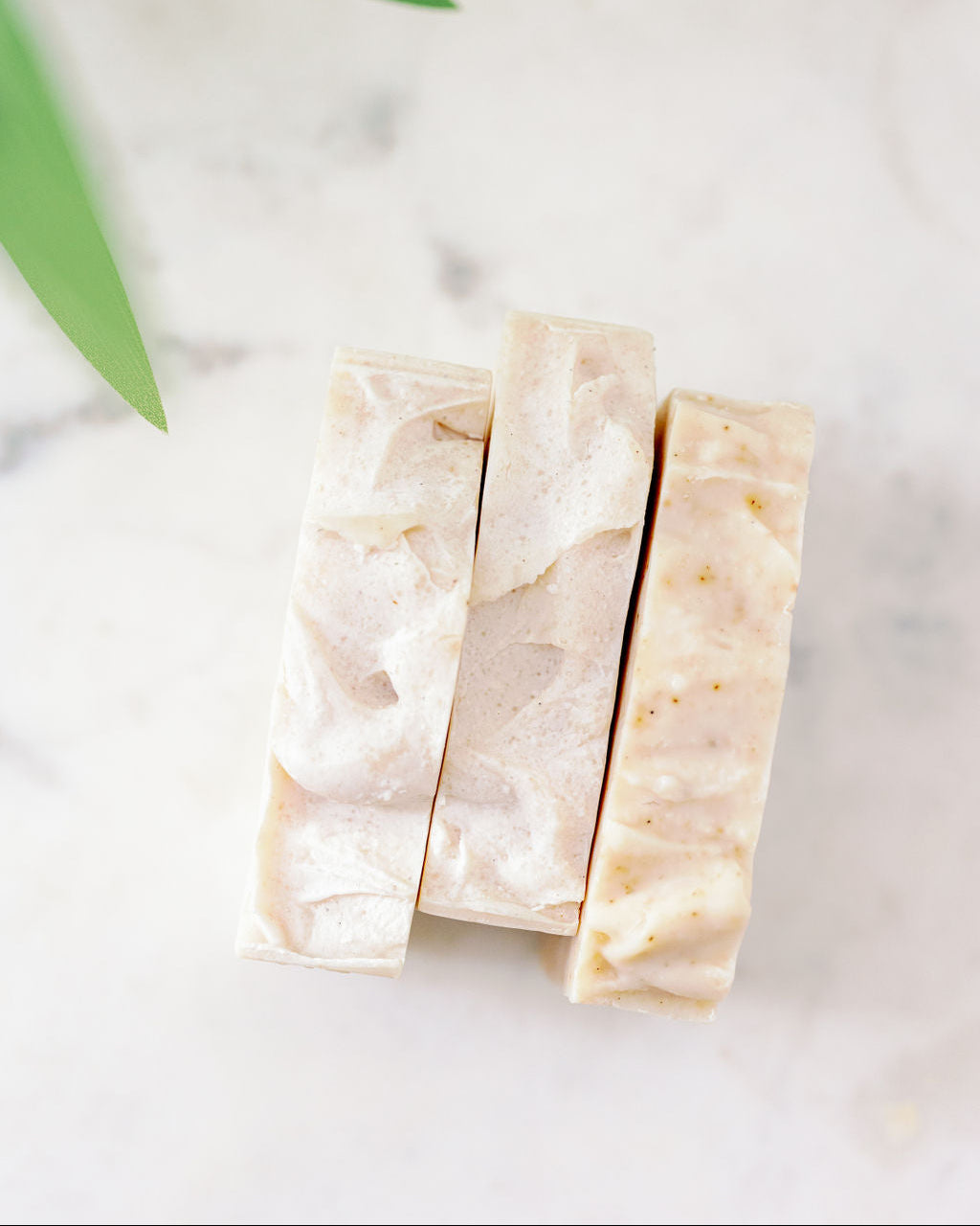 3 Divinity Shampoo Bars on a blurred white surface with green leaves in the top right corner