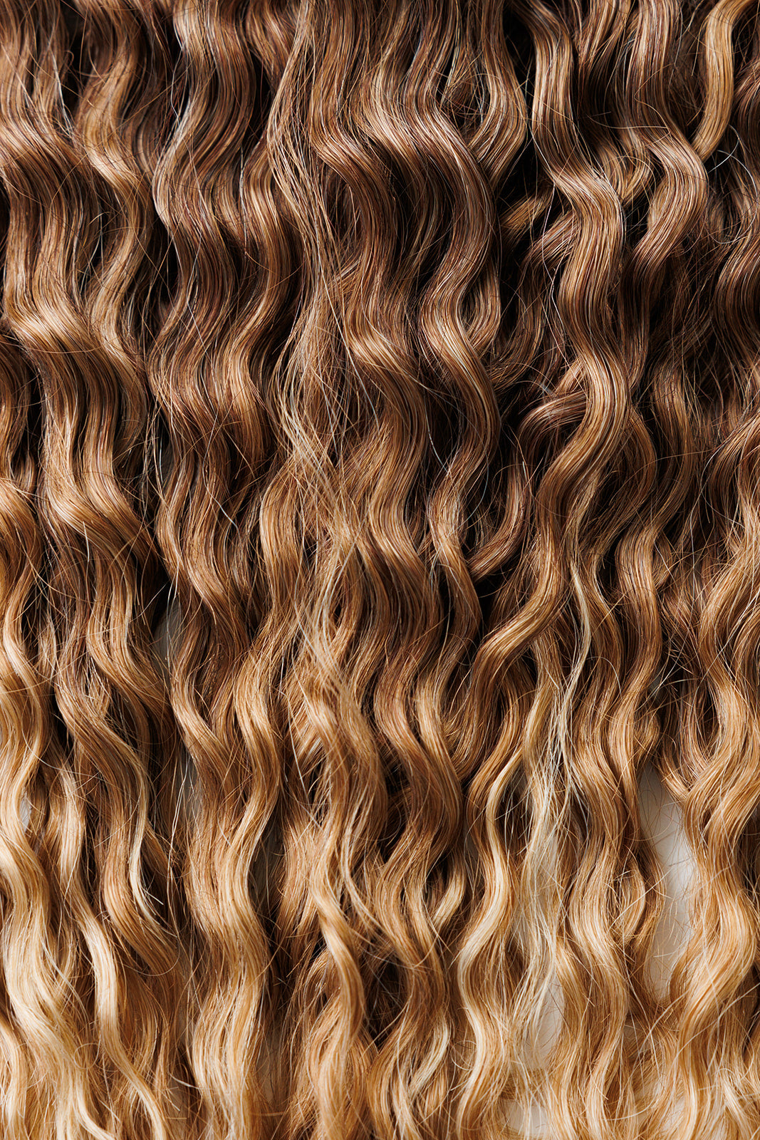 Golden Chestnut
